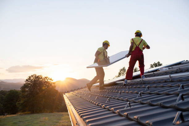 Best Roof Insulation Installation  in Sudan, TX