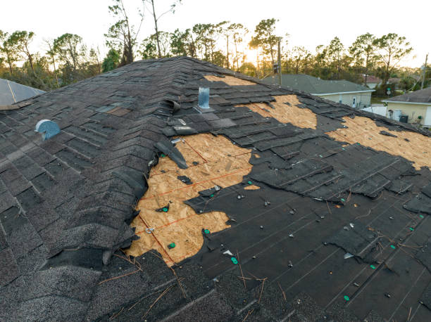 Best Roof Repair  in Sudan, TX