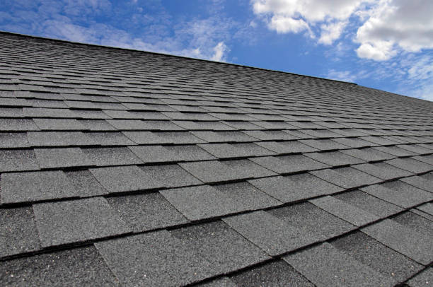 Best Roof Moss and Algae Removal  in Sudan, TX