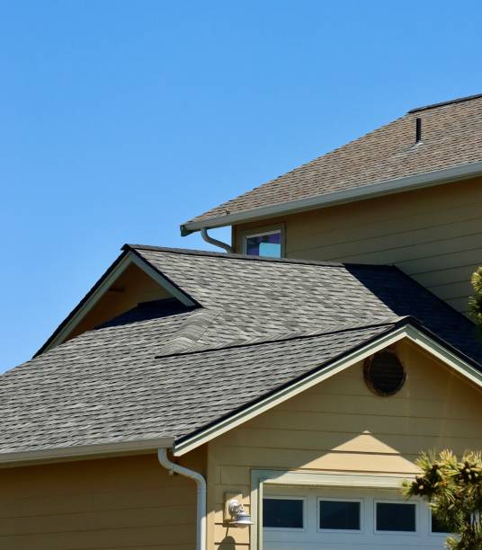 Best Storm Damage Roof Repair  in Sudan, TX